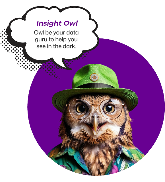 insight-owl-owl-be-your-data-guru